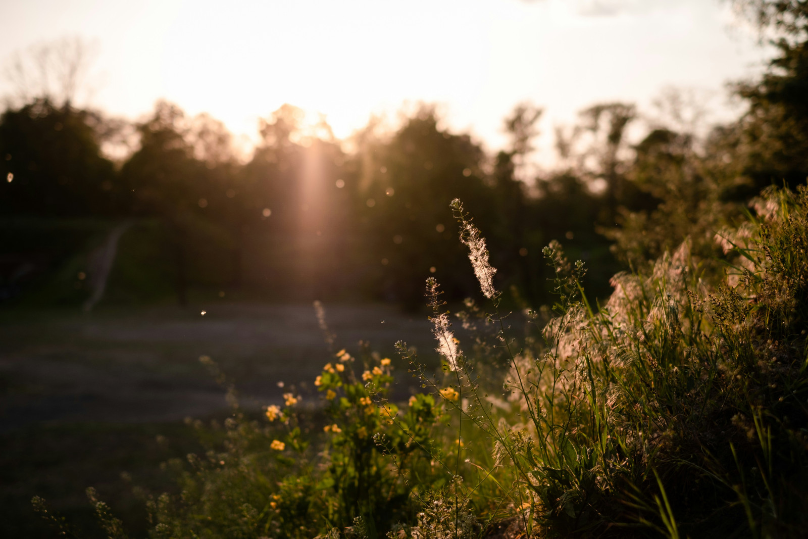 Breathe Easier: How Detoxing Can Offer Relief from Seasonal Allergies