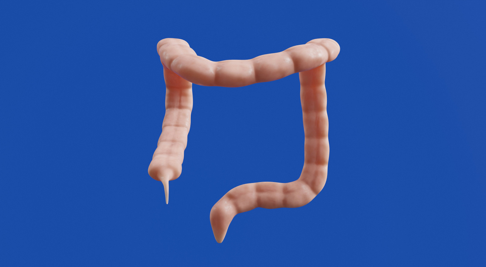 Happy Gut, Happy You: How Detoxing Supports Digestive Health