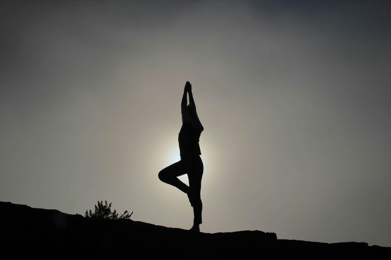 Supercharge Your System: How Detoxing Supports Enhanced Organ Function