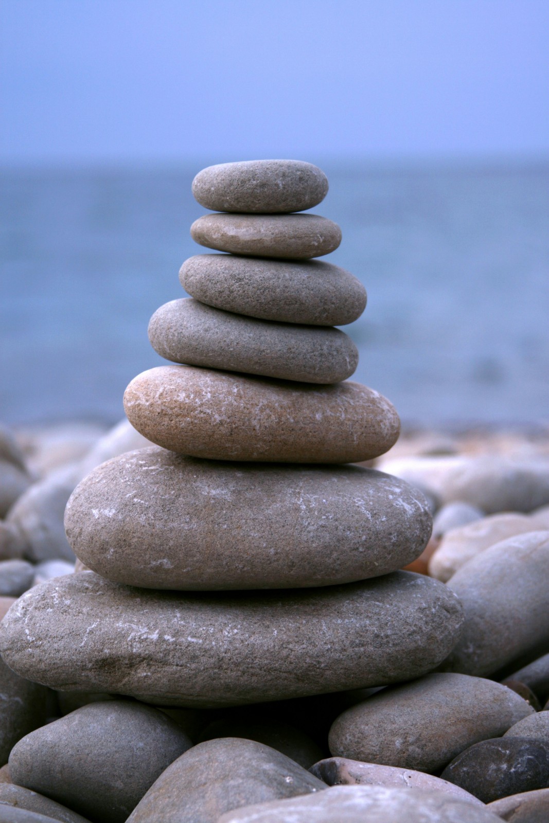 Resetting Your Rhythm: Why Detoxing is Key for Women's Hormonal Health