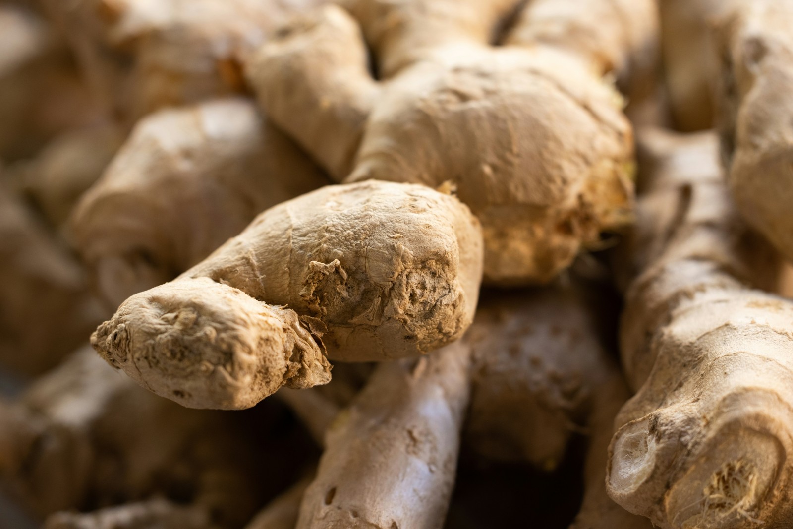 Sparkling Gut Health: How to Make Your Own Probiotic Ginger Soda