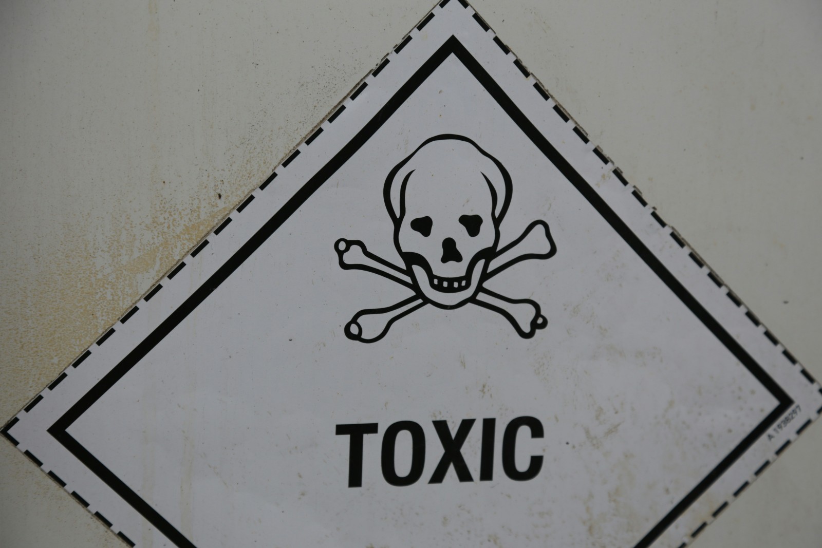 Hormones vs. Heavy Metals: The Toxicity Link