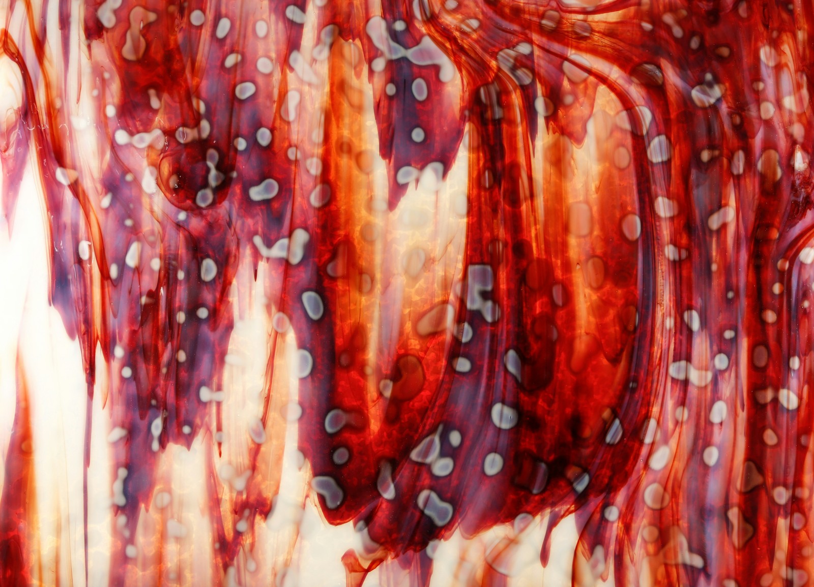 The Mom Fatigue Trap: 3 Ways Your Mitochondria Are Failing You