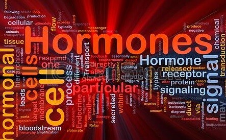 Hormones!  Everyone Has Them!