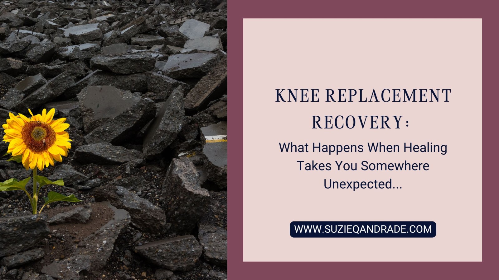 Knee Replacement Recovery: What Happens When Healing Takes You Somewhere Unexpected —