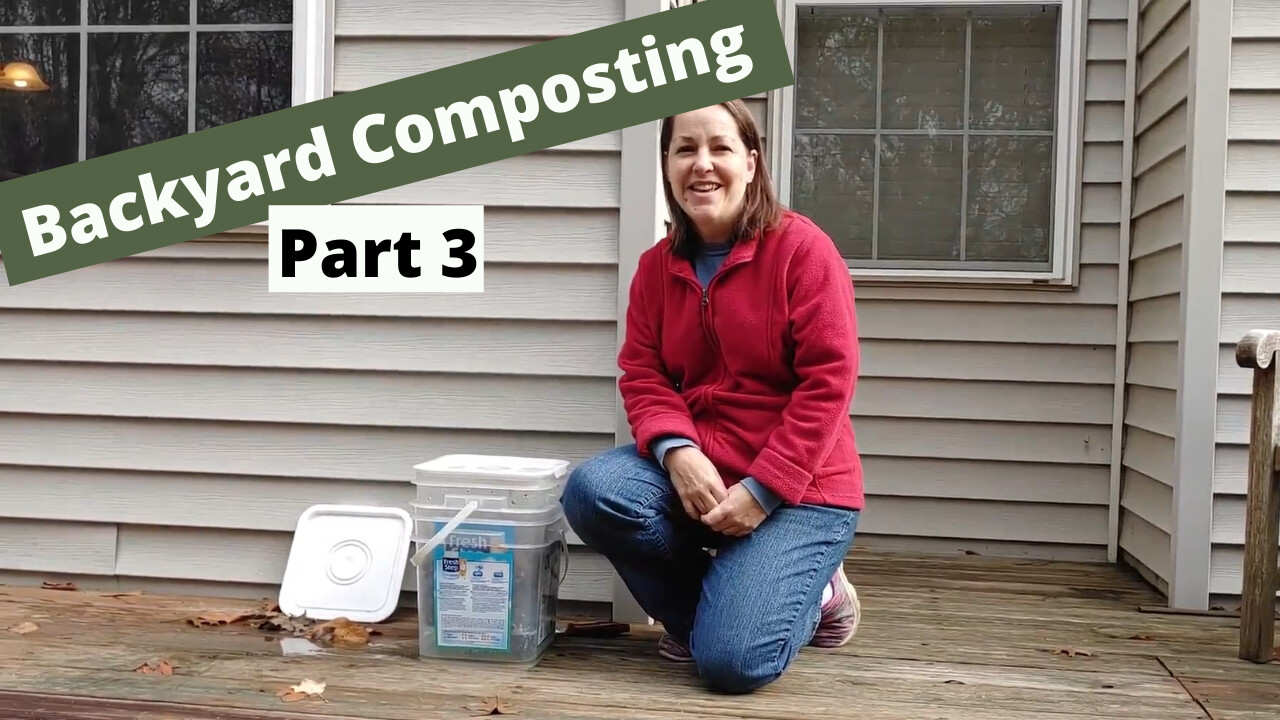 Adventures in Bucket Composting - Part 3