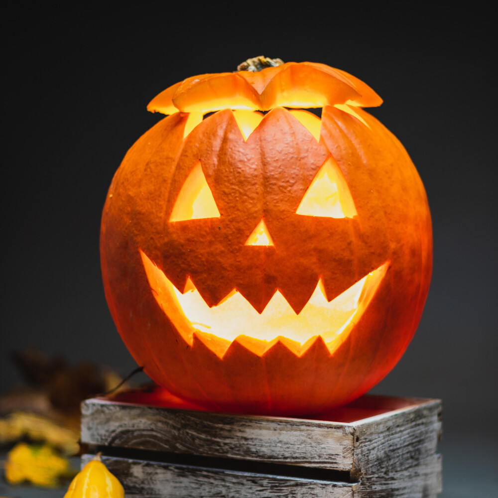 What To Do With Your Jack-O-Lantern After Halloween