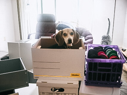 3 mistakes you’ll never make again when hiring movers 