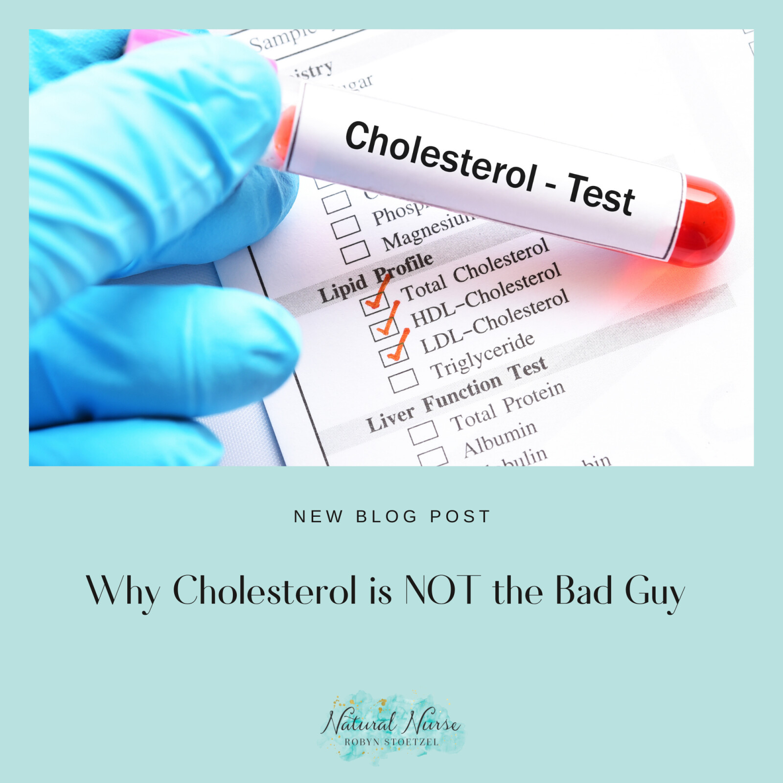 Why Cholesterol is NOT the Bad Guy