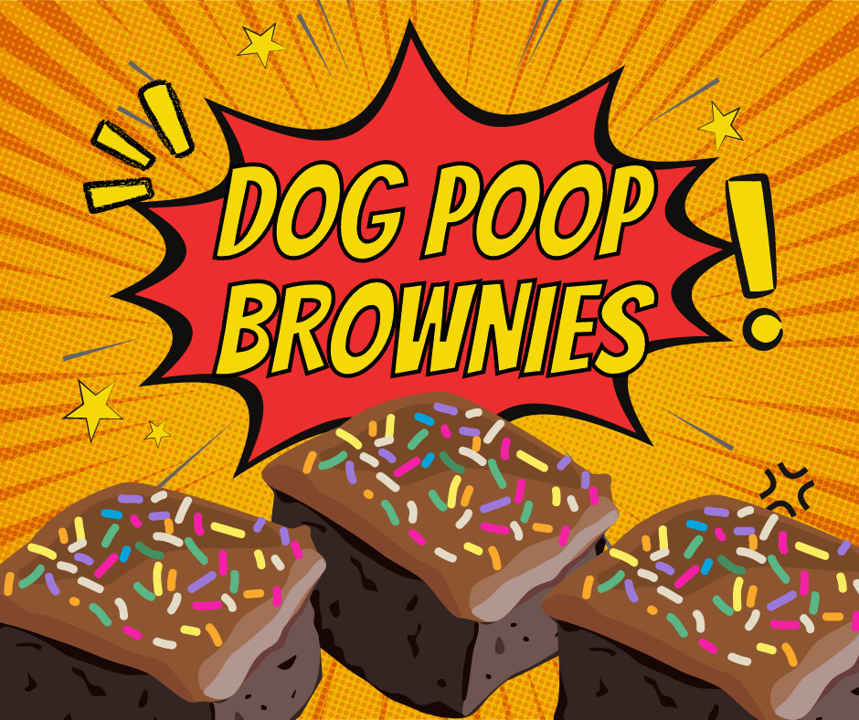 Dog Poop Brownies & The Big Picture