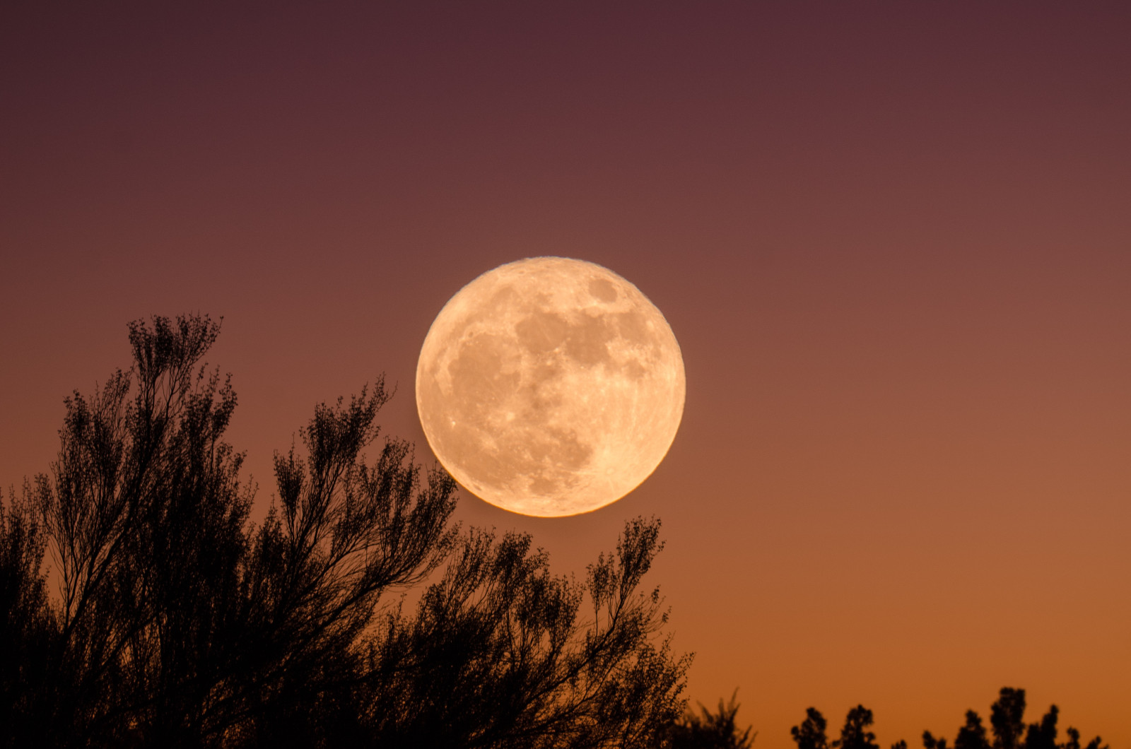 Harnessing the Full Supermoon's Energy for Manifestation and Healing