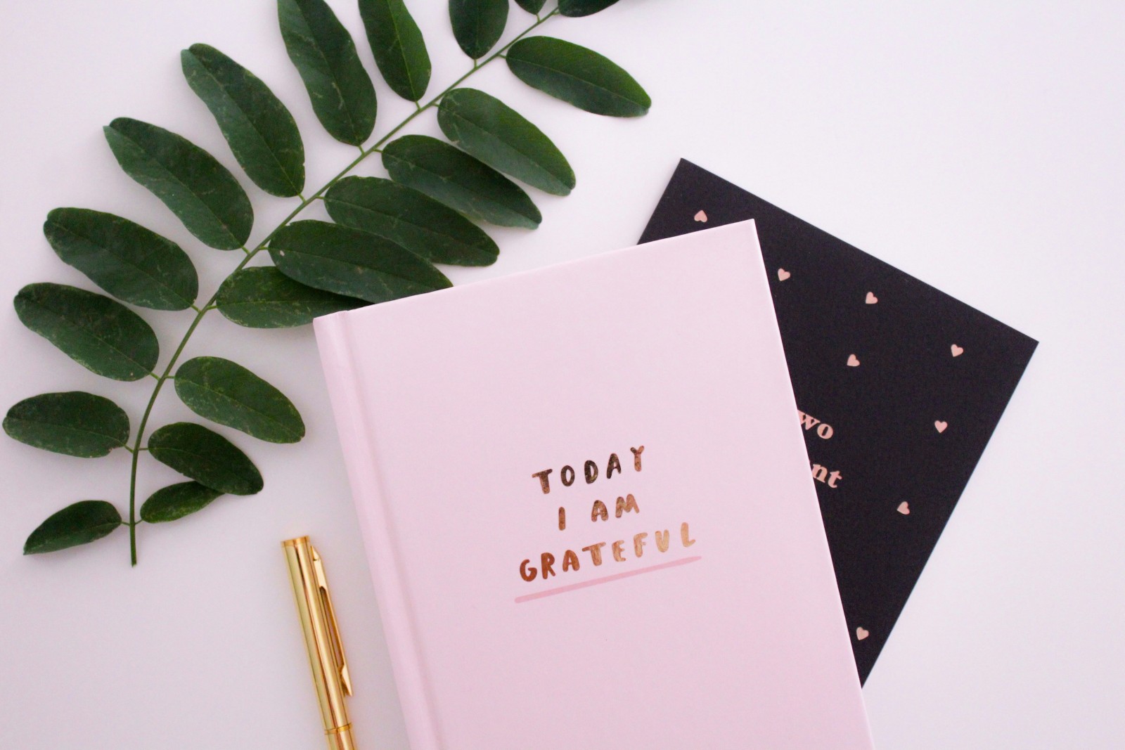 Day 12: Cultivating a Gratitude Ritual