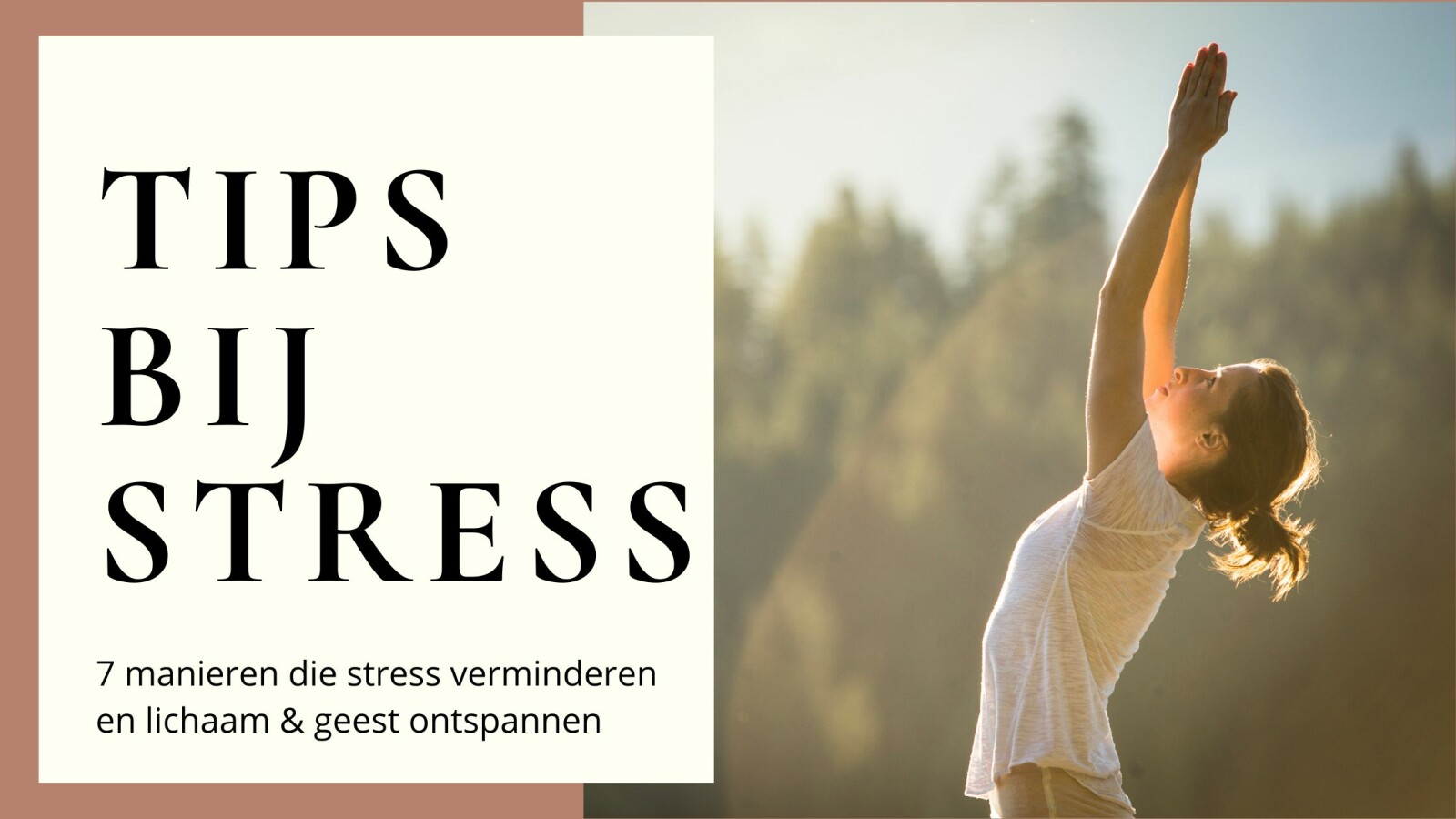 TIPS BIJ STRESS: 7 MANIEREN DIE STRESS VERMINDEREN EN ONTSPANNEN