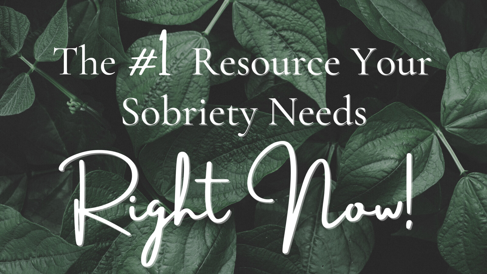 The #1 Resource Your Sobriety Needs Right Now!