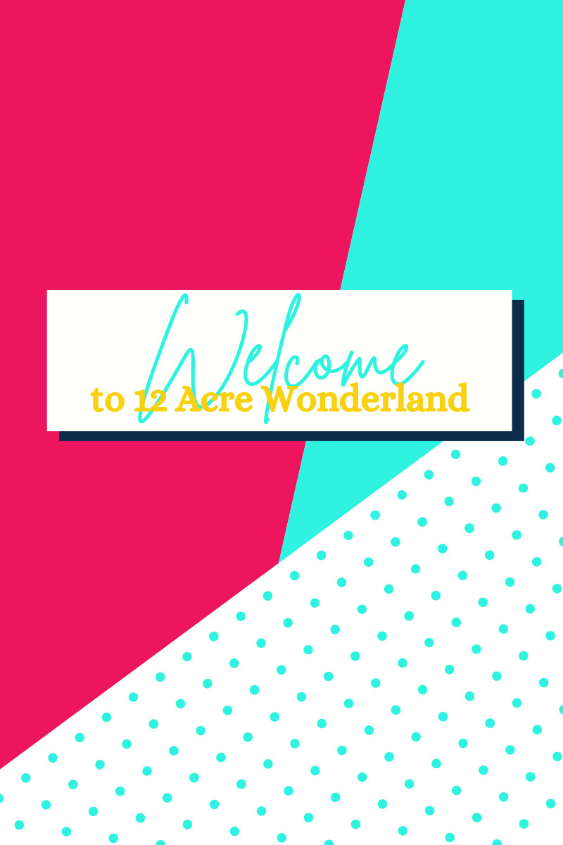 Welcome to 12 Acre Wonderland