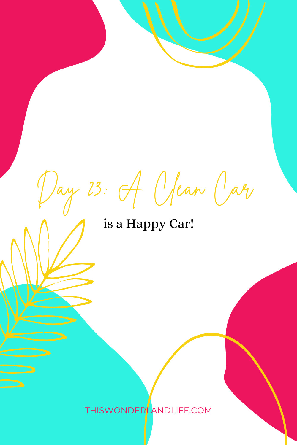 Day 23: A Clean Car is a Happy Car!