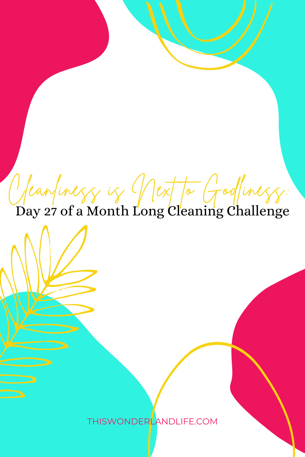 Cleanliness is Next to Godliness: Day 27 of a Month Long Cleaning Challenge