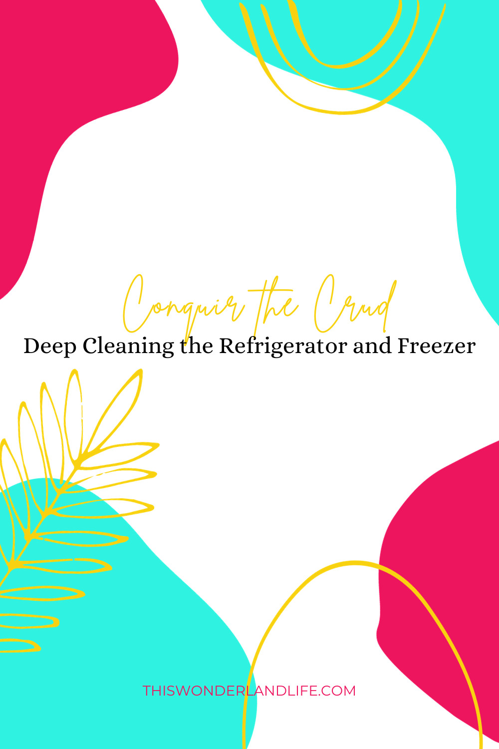 Conquer the crud: Deep cleaning the Refrigerator and Freezer