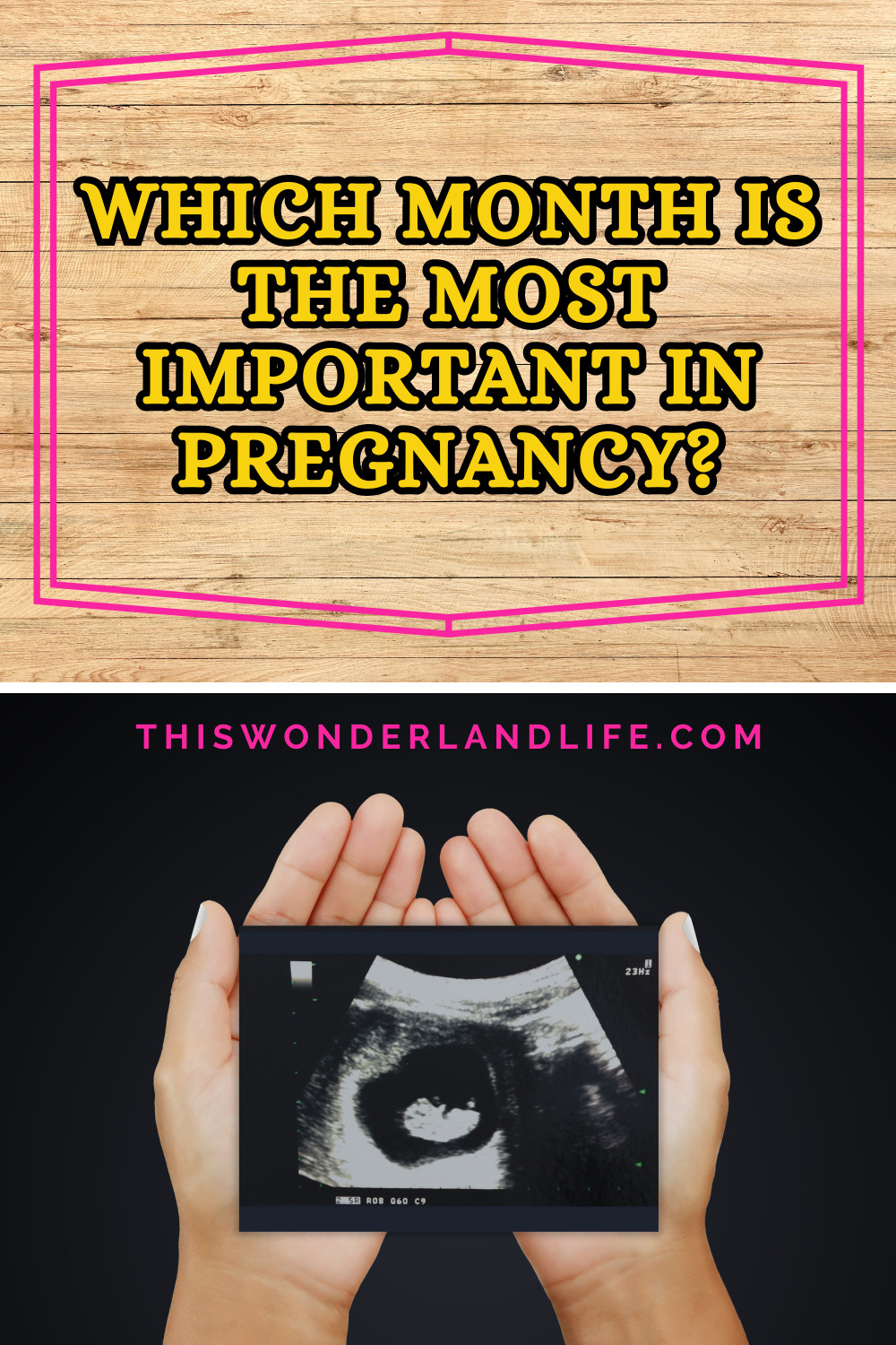 Which Month Is the Most Important in Pregnancy?