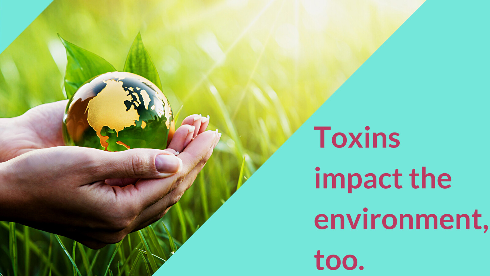 Fun Fact Friday: Toxins Impact the Environment Too!