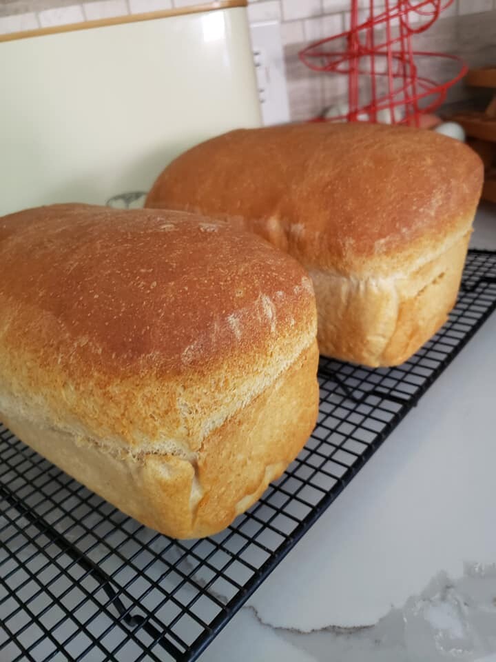 Sourdough Bread and Starter