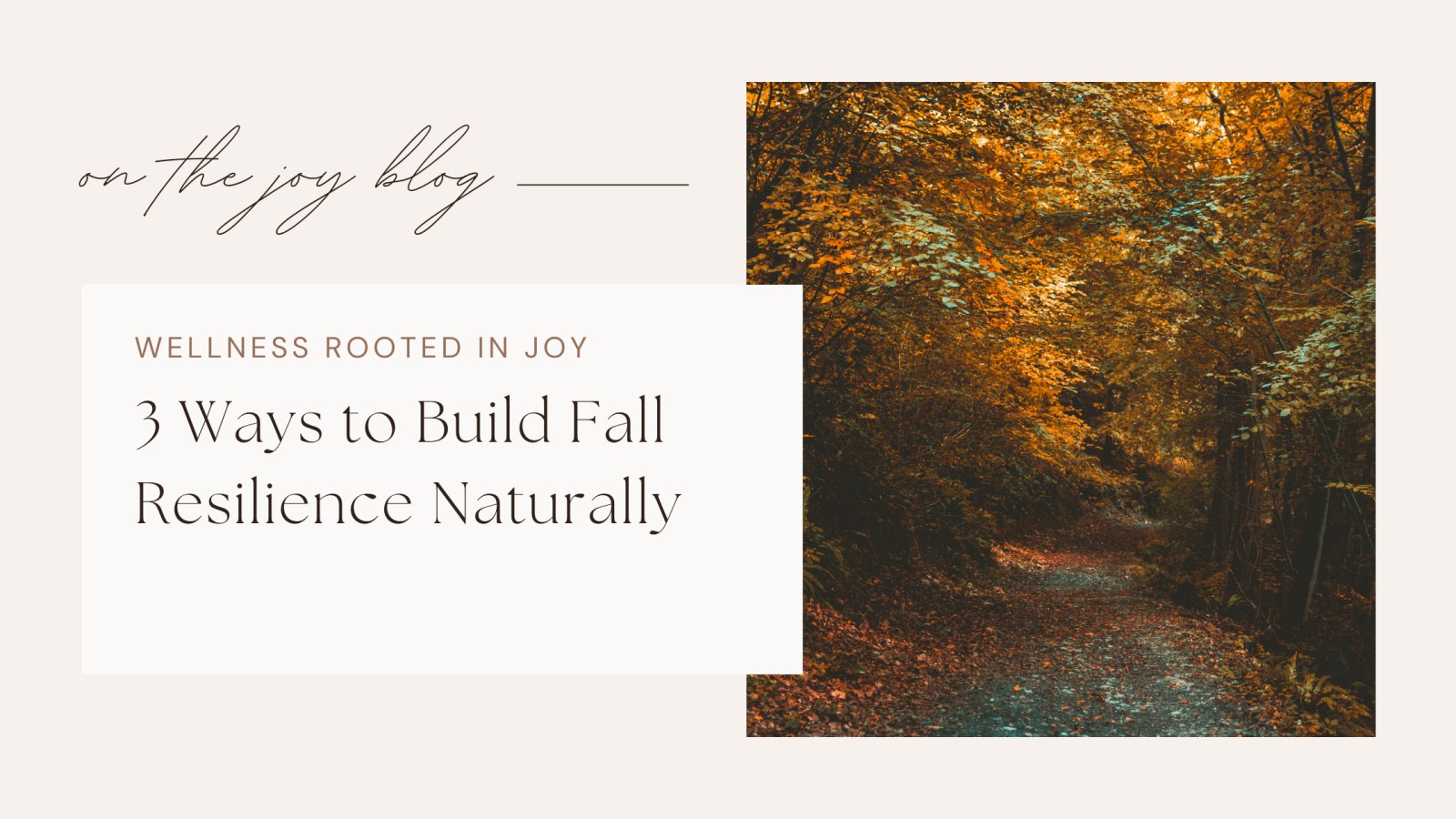 3 Gentle Ways to Build Fall Resilience Naturally