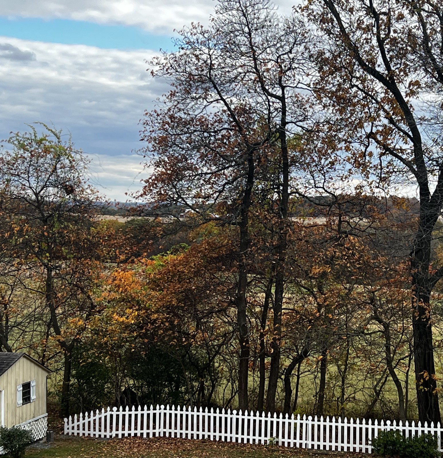 When the Leaves Begin to Whisper