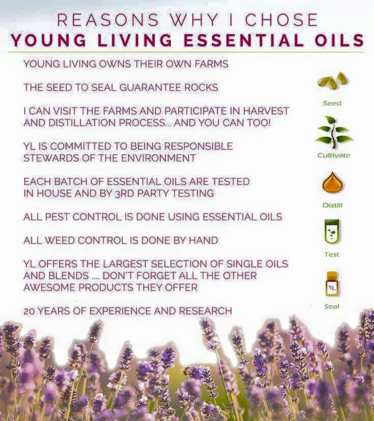 Essential oils and staying above the wellness line