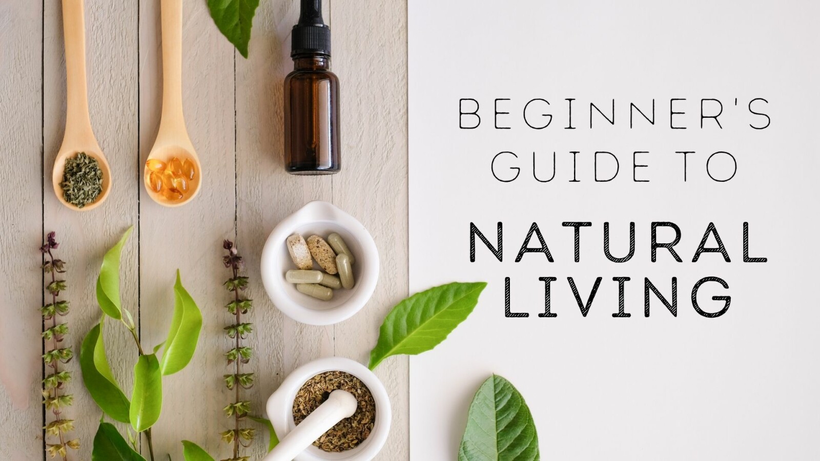 Beginners Guide to Natural Living 