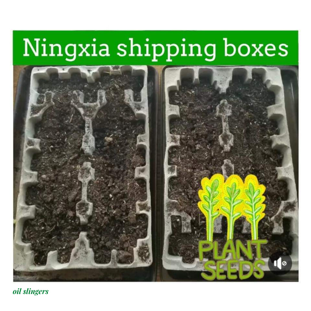 Recycle NingXia Mail Cartons