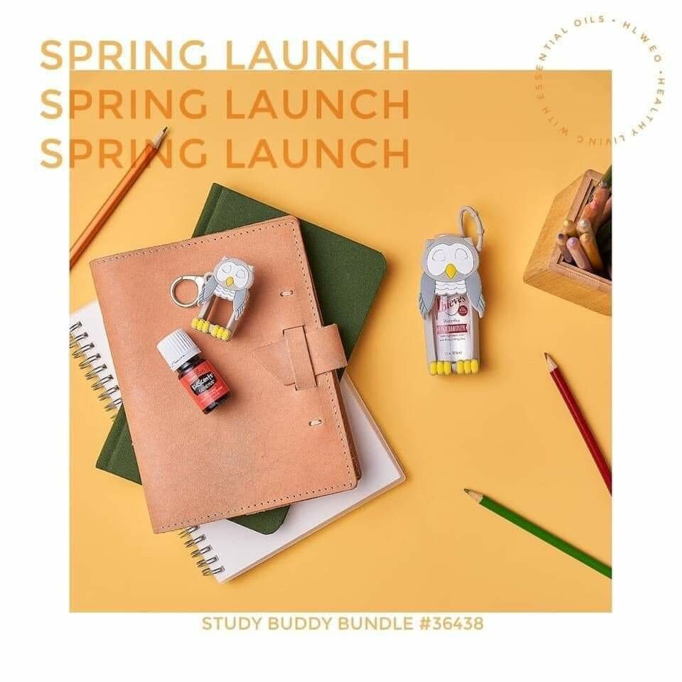 Spring Launch: Study Buddy Collection