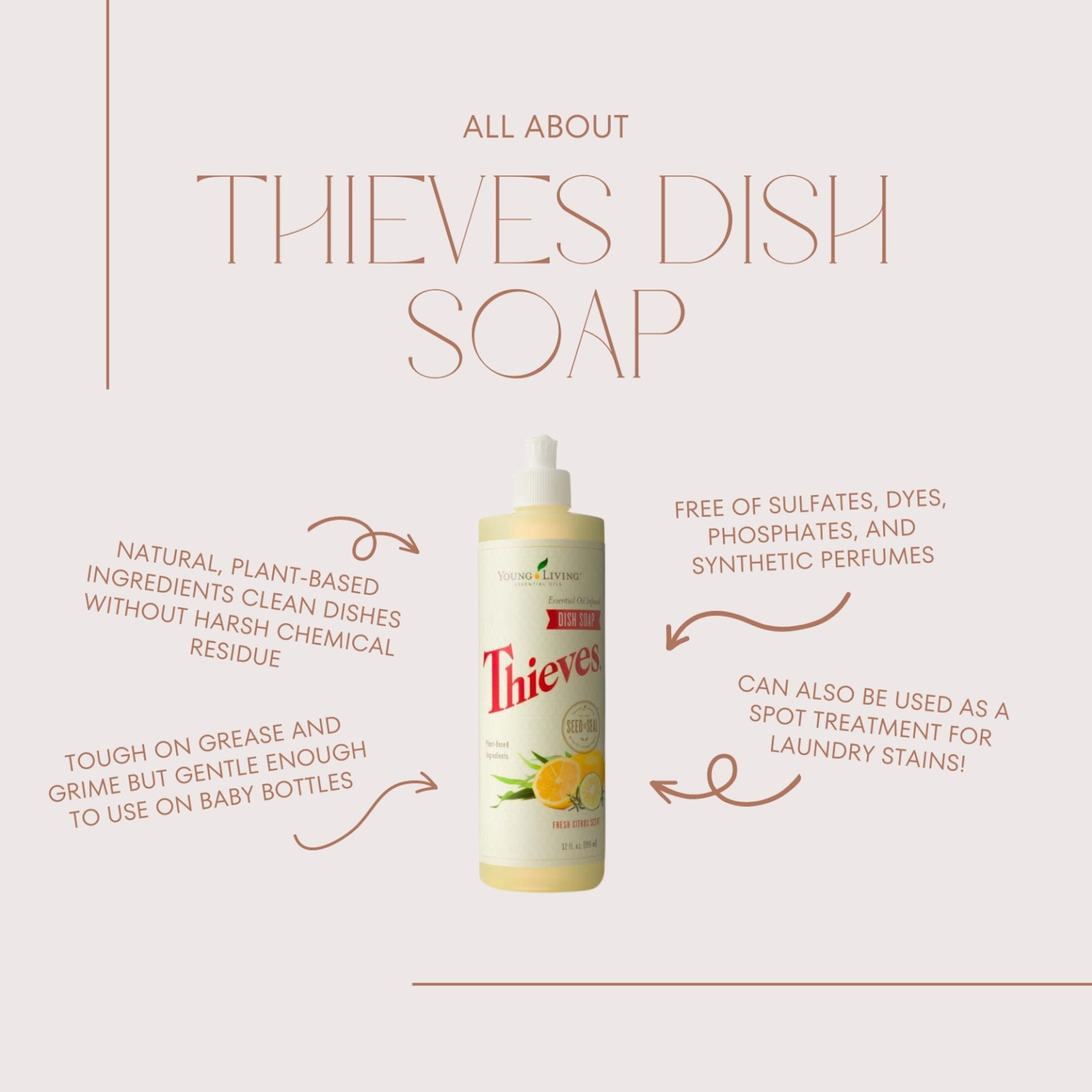 Thieves Dish Soap Spotlight