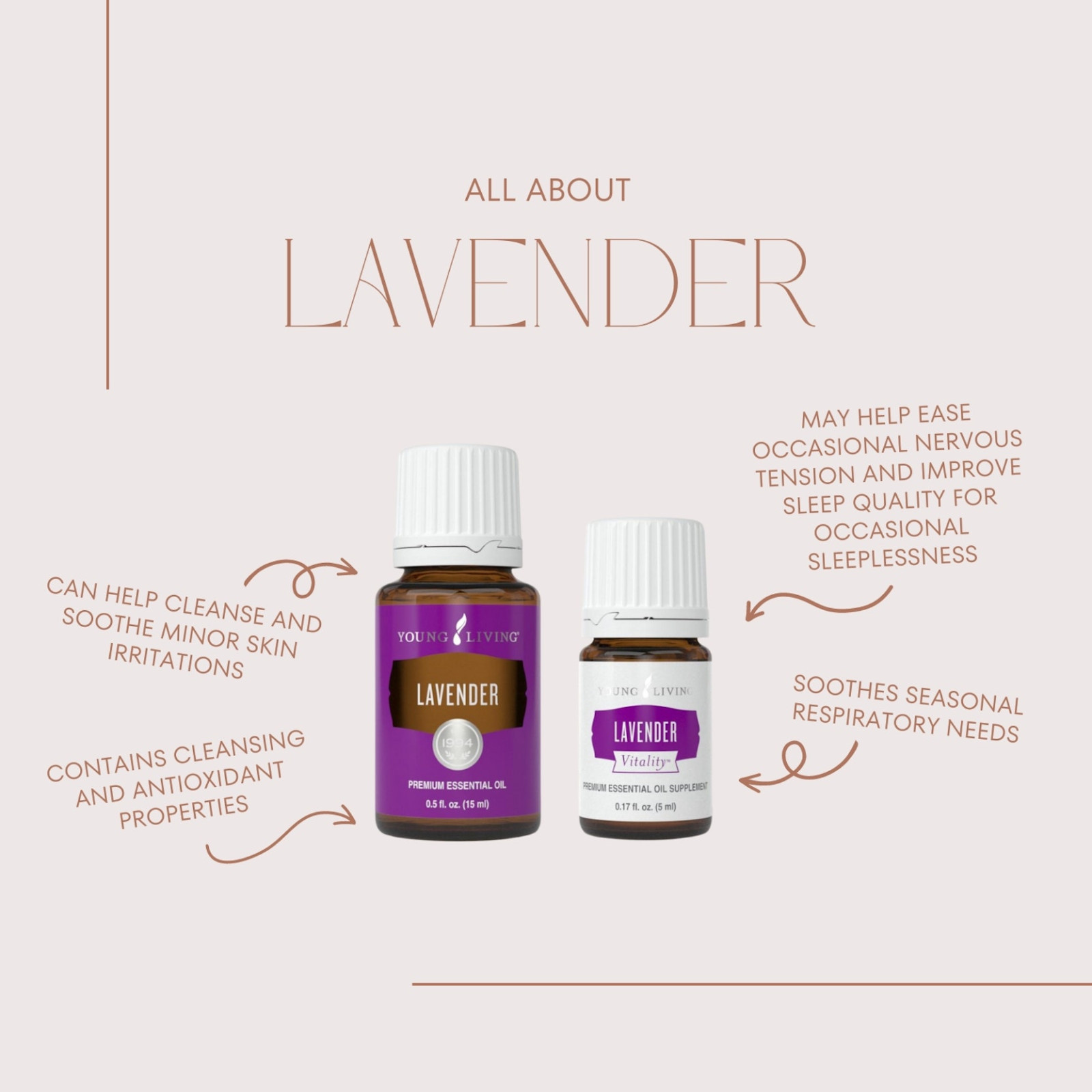 Spotlight: Lavender