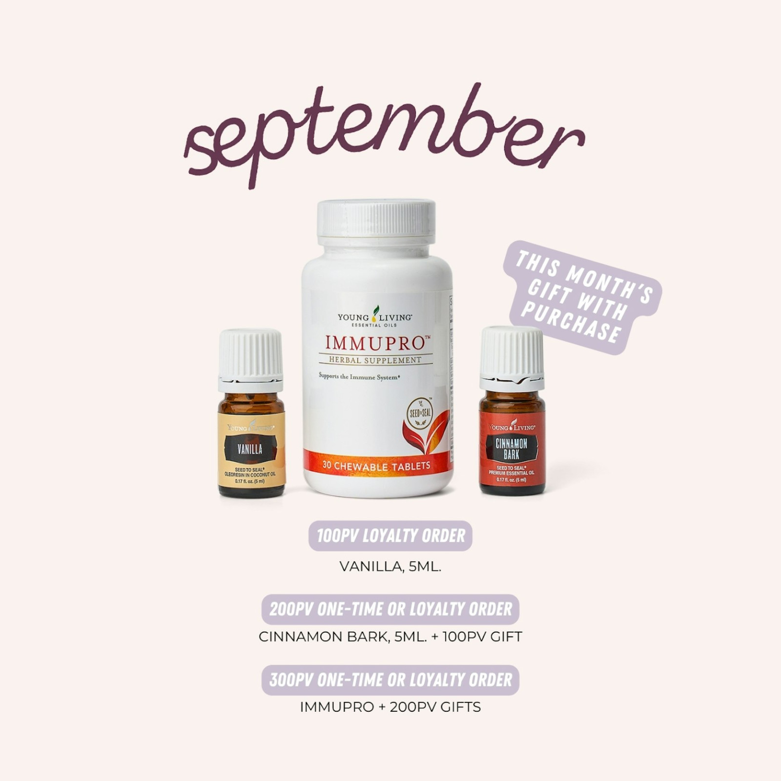 Healthy Lifestyle September 2024 Newsletter