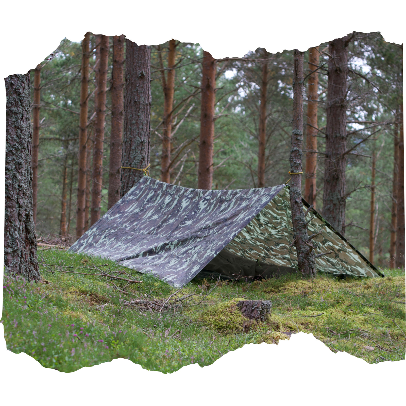 Wilderness Shelters: Mastering the Art of Survival