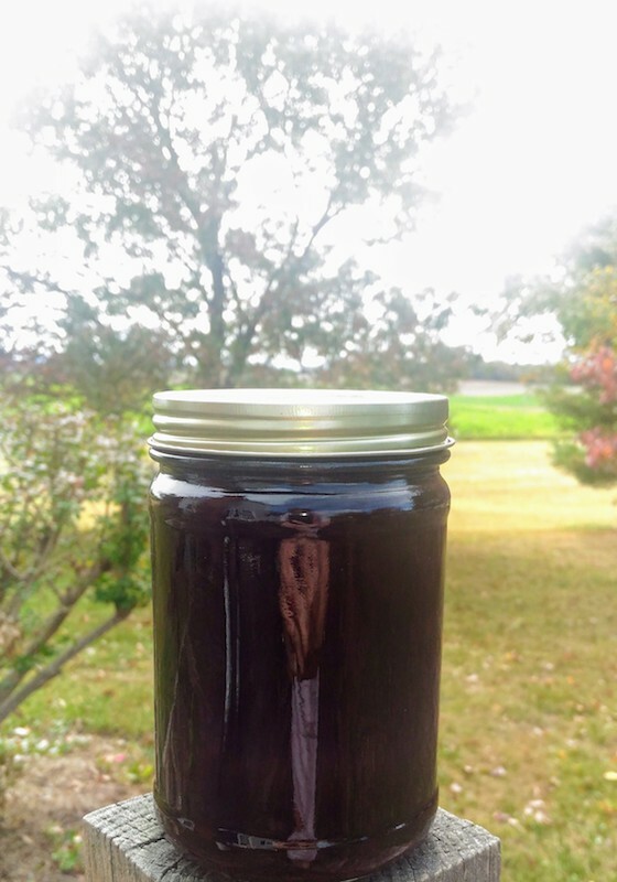 Elderberry Syrup for Immune Function Support