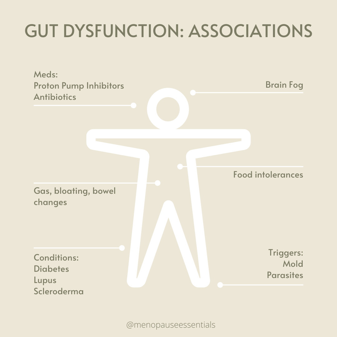 Do you have Leaky Gut?