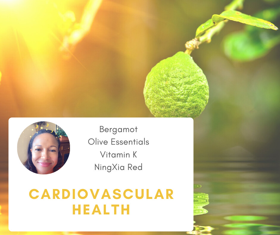 Supporting your Cardiovascular Health