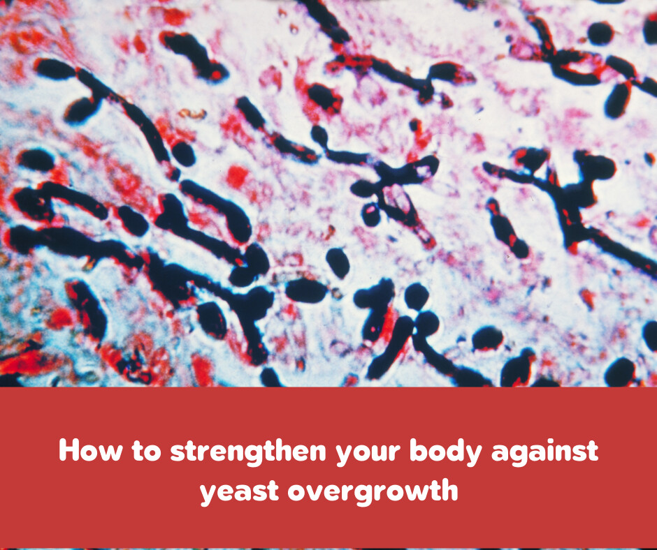 How to strengthen your body against overgrowth of yeast