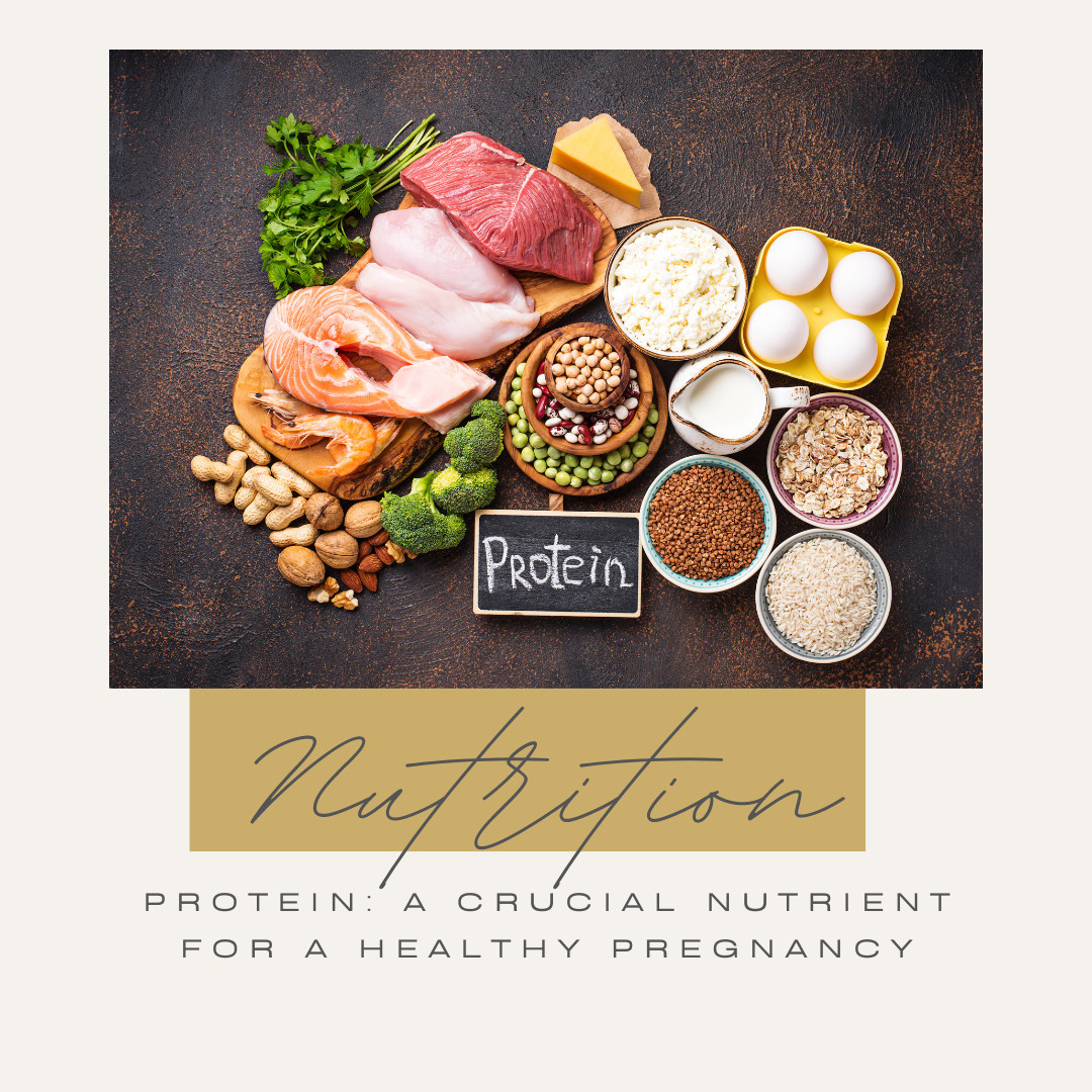 Protein: A Crucial Nutrient for a Healthy Pregnancy