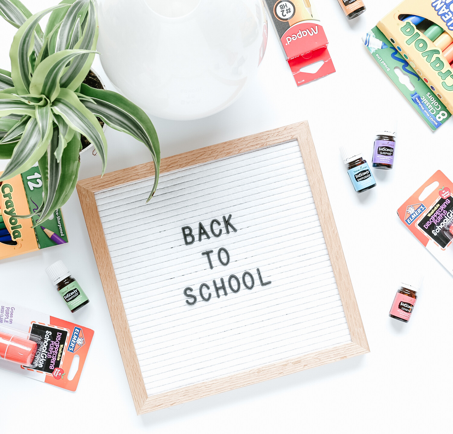 Back to School -- With No Worries!