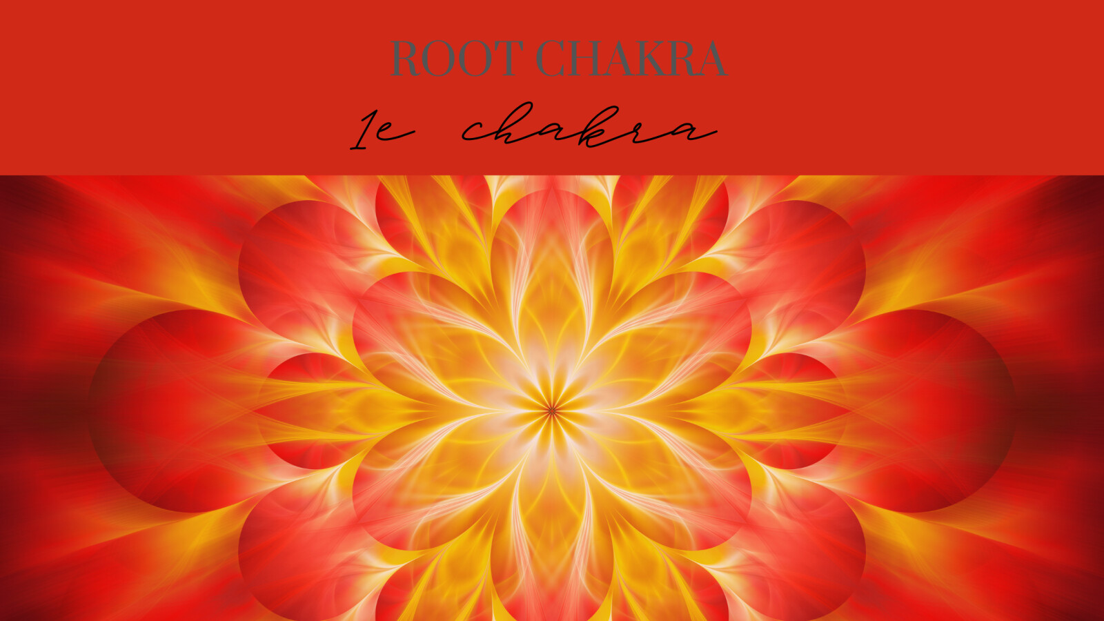 Chakrameditatie reeks: Root chakra of wortel chakra