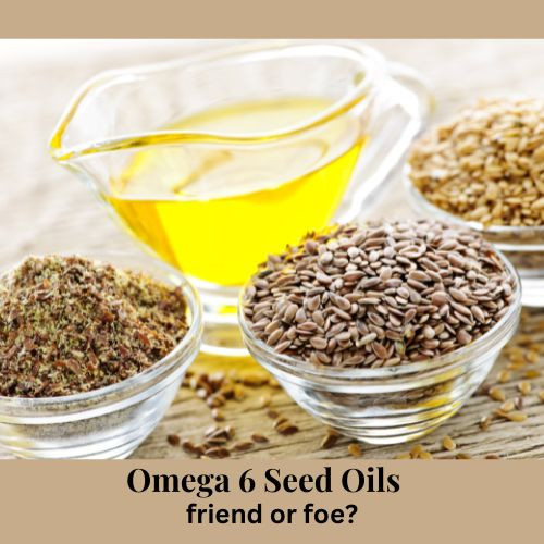 Are Seed Oils really bad?