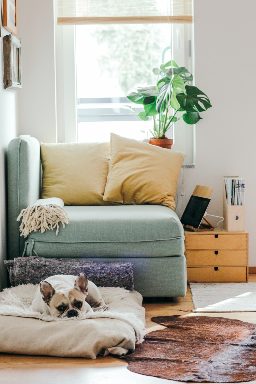 When Your Expectations Aren't Met: How to Handle Moving to a New Area