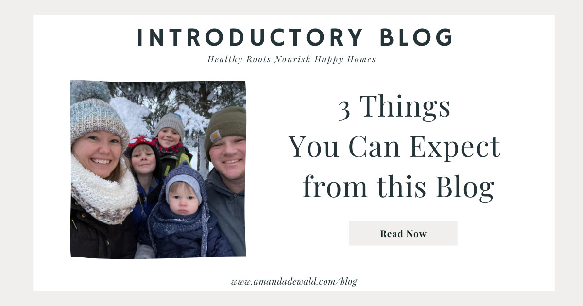 3 Things You Can Expect From This Blog!