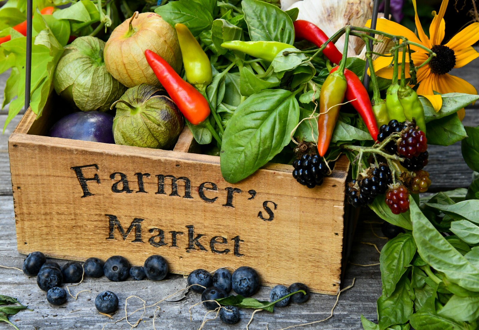 How the Farmers Market Can Help You Lose Weight