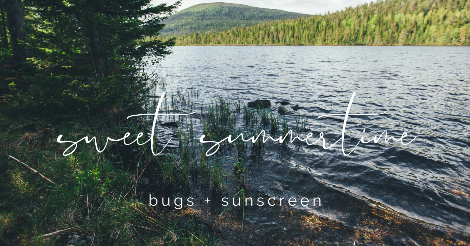 Sunscreen, SPF, and Bugs... OH MY!