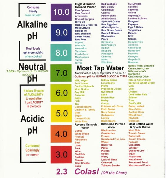 ✨ The Wellness Tool I Wish I Had Years Ago (And Why You Shouldn’t Wait Like I Did)