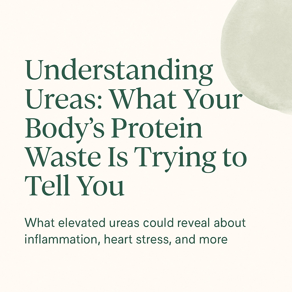 Protein, Stress & Heart Health: The Functional Clues in Your Ureas
