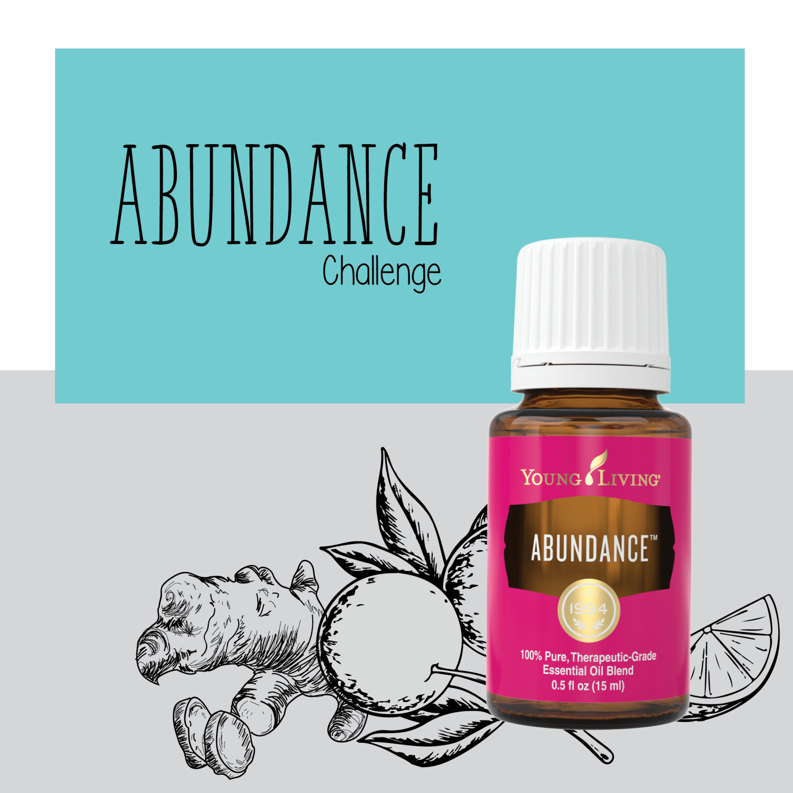 Abundance Challenge  What to expect  Confidence and Mindfulness Set your abundance Goal